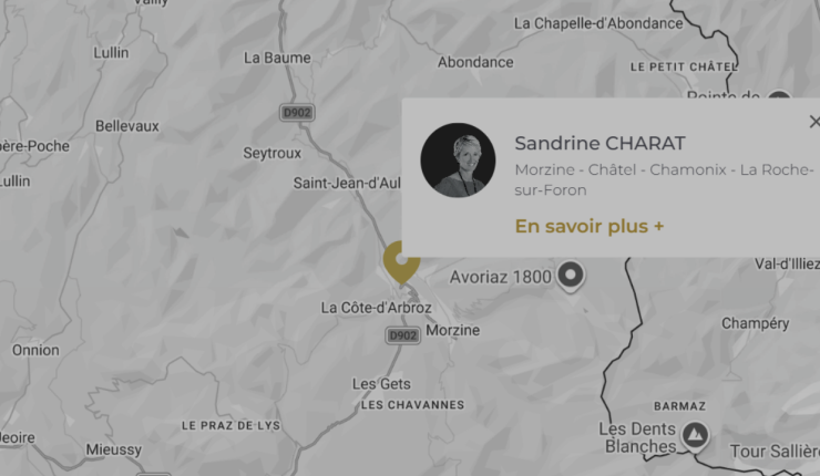 Actu Reprise Sandrine (74)